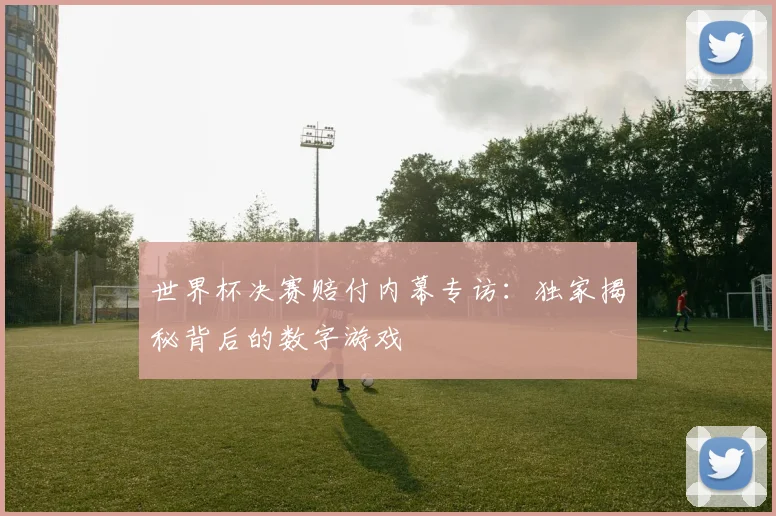 世界杯决赛赔付内幕专访：独家揭秘背后的数字游戏