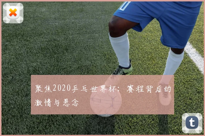 聚焦2020乒乓世界杯：赛程背后的激情与悬念