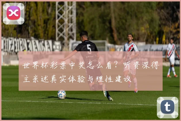 世界杯彩票中奖怎么看？听资深得主亲述真实体验与理性建议