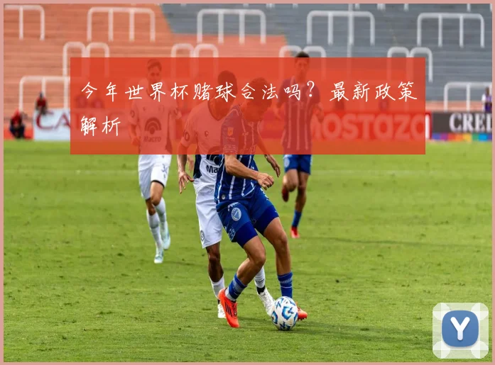 今年世界杯赌球合法吗？最新政策解析