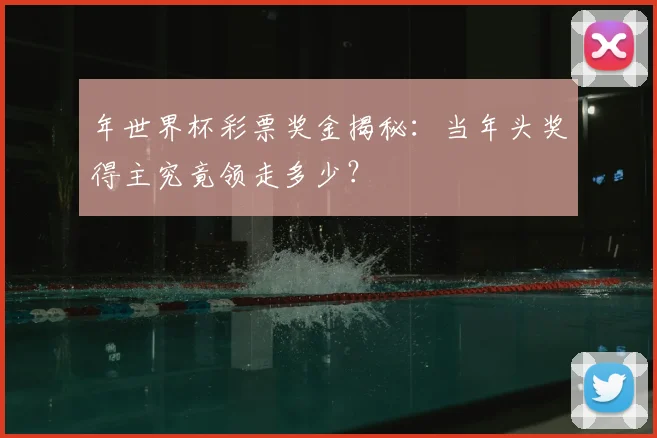 年世界杯彩票奖金揭秘：当年头奖得主究竟领走多少？
