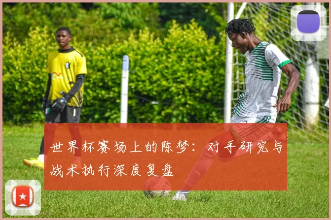 世界杯赛场上的陈梦:对手研究与战术执行深度复盘