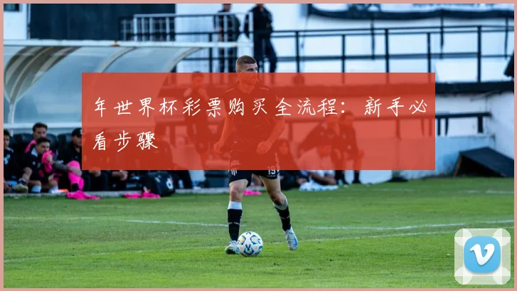 年世界杯彩票购买全流程：新手必看步骤