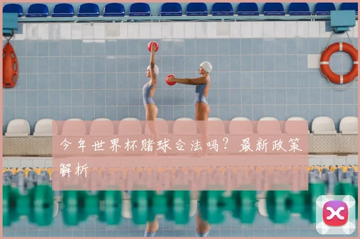 今年世界杯赌球合法吗?最新政策解析