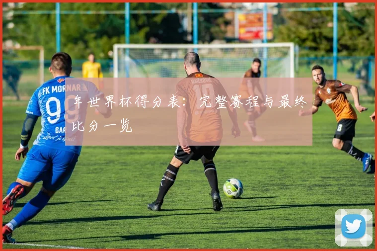 年世界杯得分表：完整赛程与最终比分一览