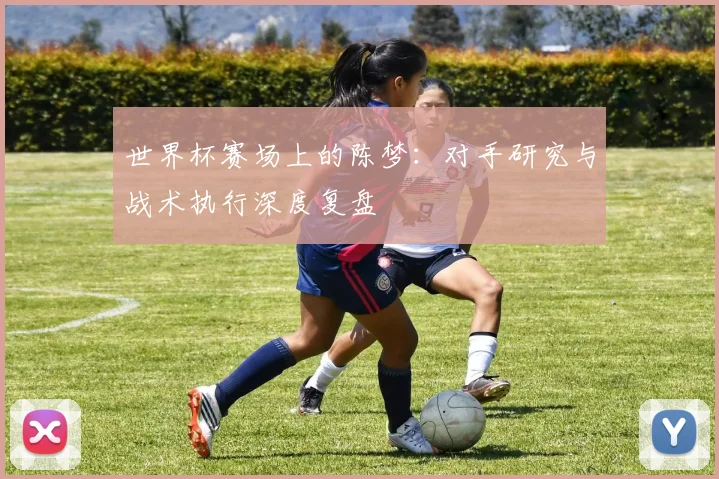 世界杯赛场上的陈梦:对手研究与战术执行深度复盘