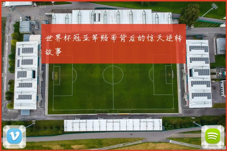世界杯冠亚军赔率背后的惊天逆转故事