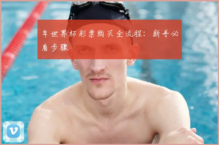 年世界杯彩票购买全流程：新手必看步骤