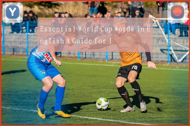 Essential World Cup Words in English A Guide for I