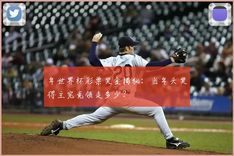 年世界杯彩票奖金揭秘：当年头奖得主究竟领走多少？